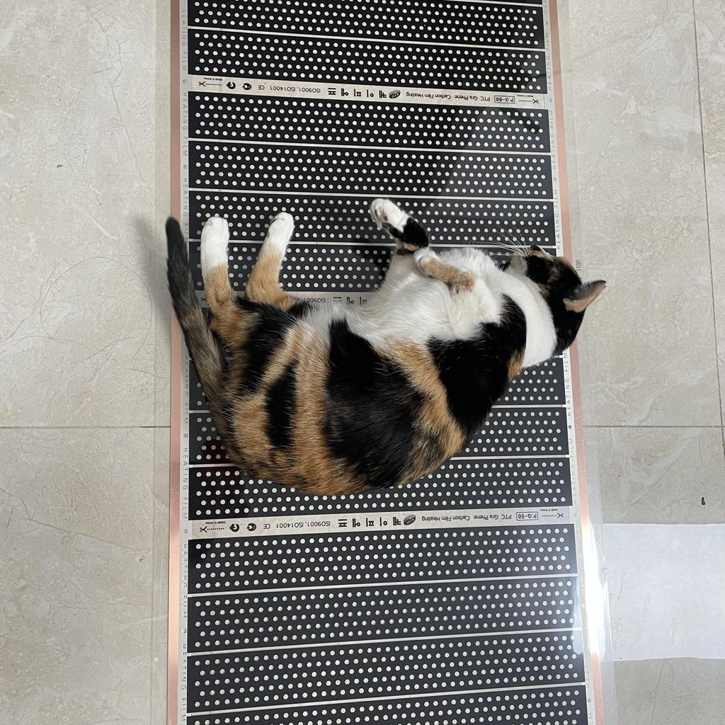 110V Infrared Heating Film 50cm Wide 220w/m2 Warm Mat Electric Warm Floor System Made In Korea
