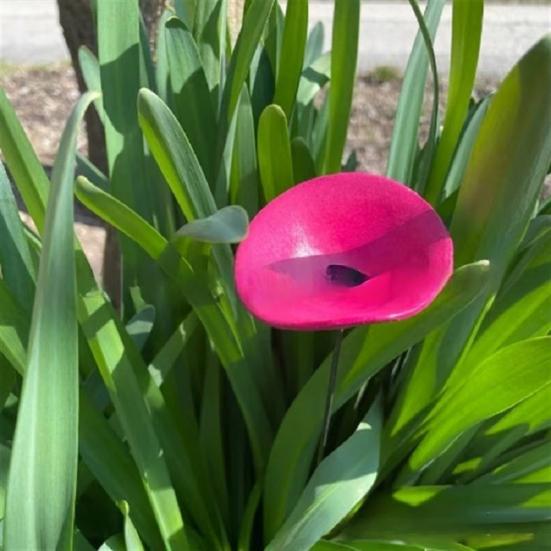 3 шт. Чашка для питья пчел Кормушка для воды с бабочкой и стеклянными бусинами Пчела