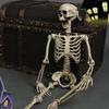 90/170cm Halloween Skull Skeleton Posable Skeleton Human Shape Bones Halloween Party Home Decorations Haunted House Horror Props