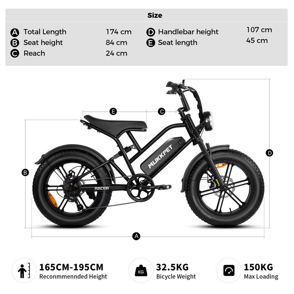 Electric Mountain Bike 250W Motor 20" Fat Tire Fully Suspended Adult Electric Bicycle 48V 18Ah Dual Disc Brakes 7 Speed Top Speed 25Km/h