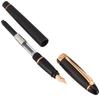 Перьевая ручка Aurora EF Сверхтонкое перо Epsilon Сатинированная Розовое золото Черный Официально импортировано B10-PN Двойного назначения,