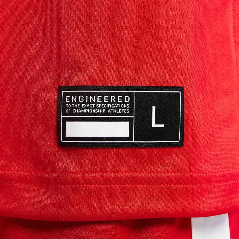 Nike Баскетбольная майка Dri Fit мужская Университетский красный IB8638-657