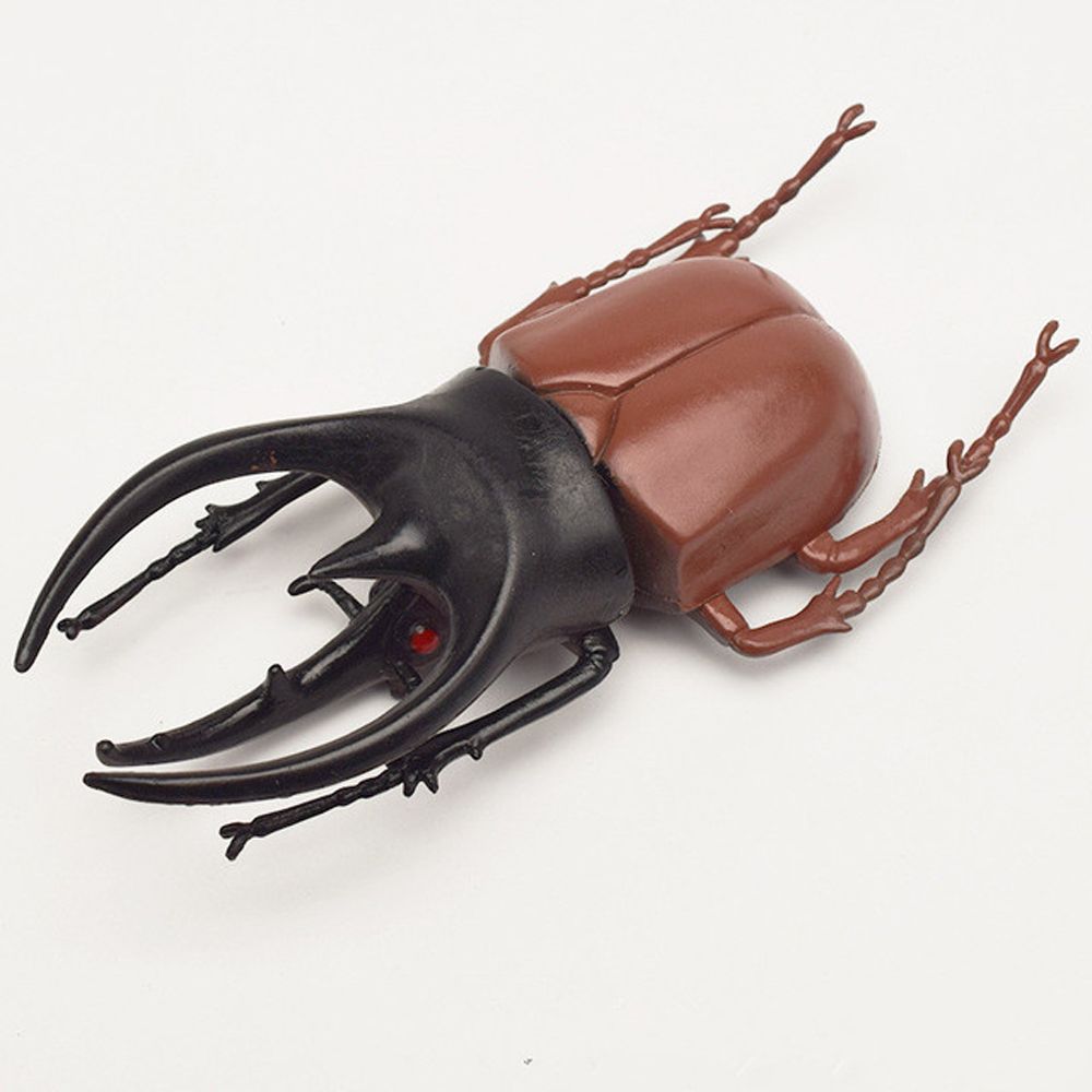 Simulation Animals Fake Beetle Simulation Beetle Special Lifelike Model Insect Model Beetle Toys