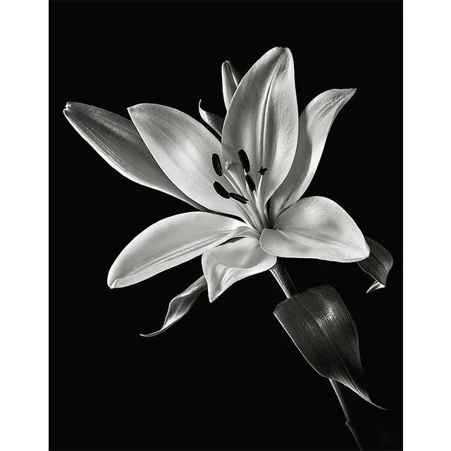 Черно-белые цветы подсолнуха, лилии, принты, постер, холст, живопись, современные настенные художественные картины для гостиной, спальни, домашний декор, без рамки