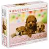 300 Piece Jigsaw Puzzle Our Friends (Toy Poodle & Dachshund & Shiba Inu) (26x38cm)
