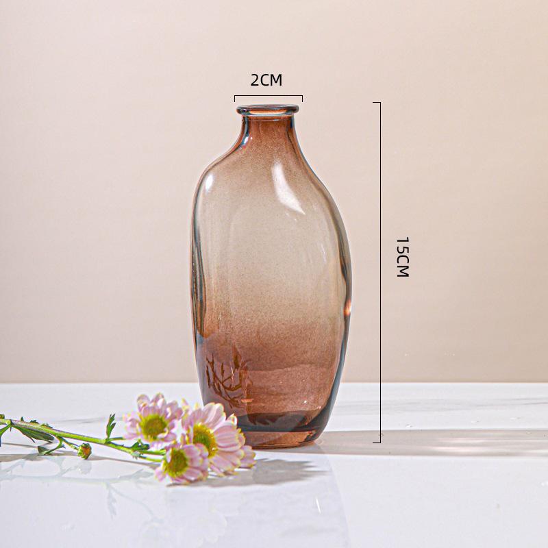 Irregular Glass Vase for Hydroponic Plants - Small Decorative Holder for Living Room Flower Arrangements