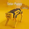 Solar Electric Dog