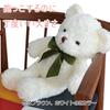 Active Island Teddy Bear 3 Minute Recording Stuffed Toy Gift Birthday Present Bear A578 (Brown)
