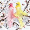 Artificial Birds Simulation Foam Birds with 3D Feather Tail Realistic Clip Christmas Tree Ornament for Xmas Tree Wreath Crafts Party Home Decor