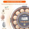 An incubator with automatic egg rotation and humidity control, an intelligent incubator, featuring automatic temperature regulation function.