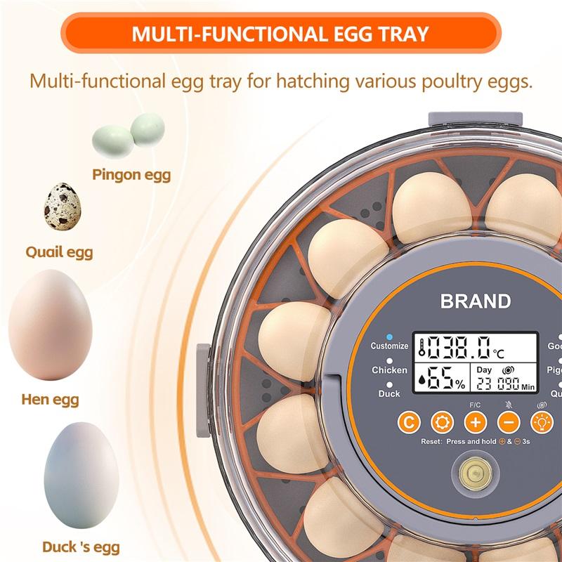 An incubator with automatic egg rotation and humidity control, an intelligent incubator, featuring automatic temperature regulation function.