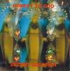 CD SECRET GOLDFISH - Honest To God WRR10 WONDER RELEASE Япония Оби Японский Поп/Рок Б/У