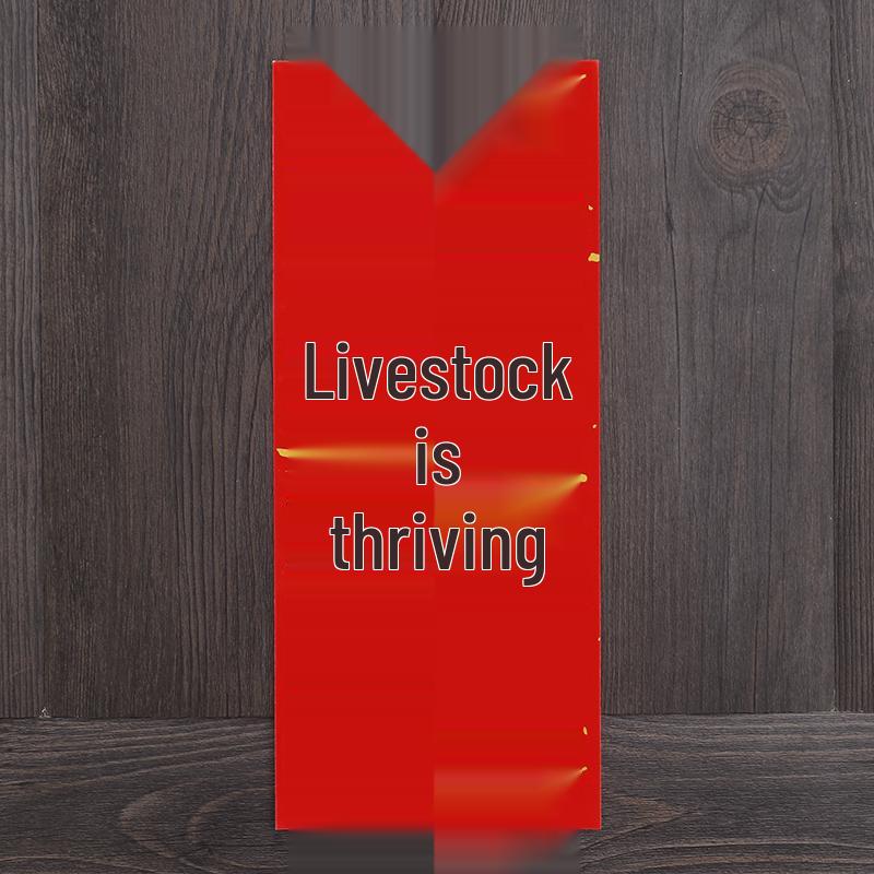 Парные надписи к Празднику Весны 2026: Каллиграфия Сяо Хуэй Чунь Красная Бумага с Черными Иероглифами и Красные Конверты