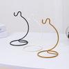 Micro Landscape Glass Hanging Bottle with Iron Hook and Rack for Ecological Plant Display