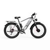 DUOTTS F26 взрослый электрический велосипед 1500 Вт мужской E-Mountain ebike 48V20AH аккумулятор 26 дюймов широкая шина двухмоторный электрический велосипед