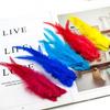 50pcs 10-15cm Chicken Feather Rooster Cock Plumes Fly Tying Feather DIY Jewelry Dream Cather Earring Accessory Plumas for Crafts