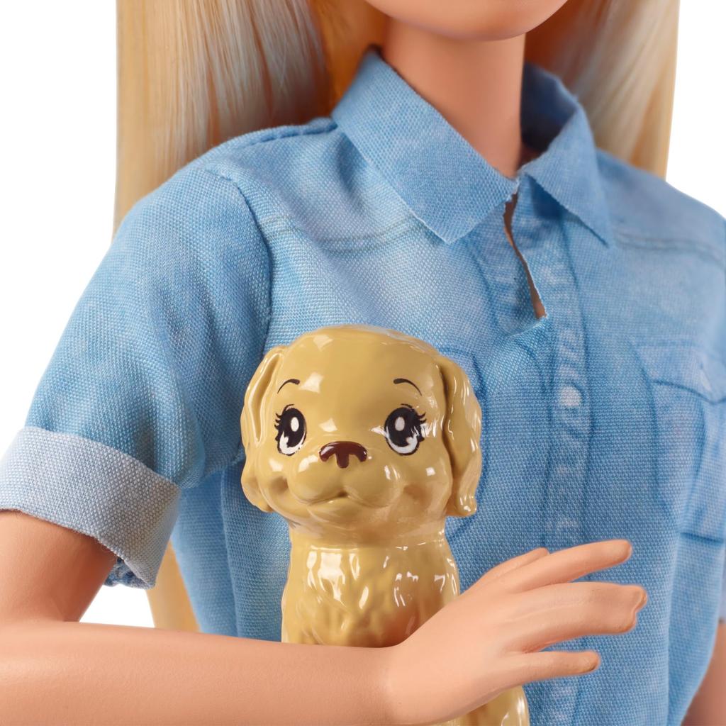 barbie Dream House Adventure Pink Ryoko Set Dress Up Play 3 Years Old and Up Blue FWV25 Doll/House Play/Pretend