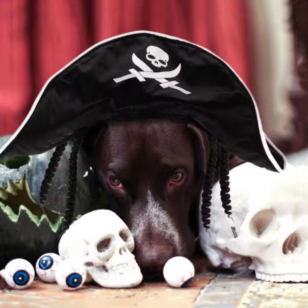 Breathable Cat Wizard Hat Adjustable Cat Spider Hat Funny Dog Cosplays Hat Halloween Party