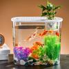 Мини-пластмассовый аквариумный цилиндр, аквариум с золотыми рыбками, ведро для рыбы, чаша для золотых рыбок, резервуар для просмотра