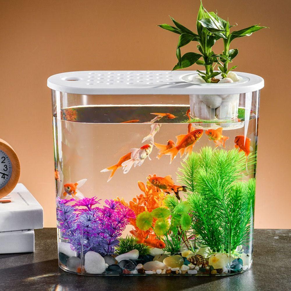 Мини-пластмассовый аквариумный цилиндр, аквариум с золотыми рыбками, ведро для рыбы, чаша для золотых рыбок, резервуар для просмотра