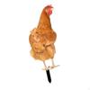 Акриловая статуя цыпленка, колышек, животное, двор, искусство, животные для патио, пруда, газона
