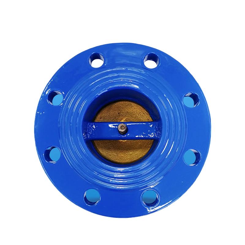 Flanged Silencing Check Valve