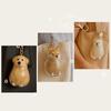 Clear Puppy Hair Memorial Keepsake Capsule Pet'S Dog Fur Container Diy Pendant Keychain Decor Pet Lovers Home Display Gifts