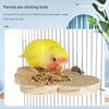 Деревянная подставка для попугая, доска, съемная платформа для прыжков птиц, устойчивая жердочка для отдыха хомяка, волнистый попугайчик