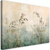 Canvas Print,  Grasses and Plants