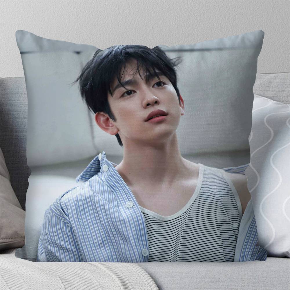Korean Celebrity PPark Jinyoung Pillow Case Fashion Square Pillowcase Bedroom Sofa Room Ins Decoration Leisure
