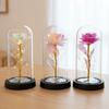 Yousheng Preserved Rose In Dome with LED Light Artificial Eternal Rose Flower Gifts for Her Mom Women Valentine's Day Mother's Day Christmas Birthday