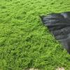 Artificial Moss Landscape Bionic Lawn False Moss Micro Landscape Layout Lawn Bonsai Pottery Paving Landscape Outdoor Indoor