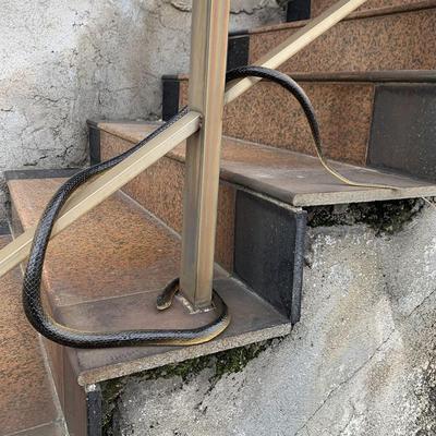 Смешная поддельная змея, реалистичные резиновые змеи, 120/130 см, садовая поддельная вечеринка, Хэллоуин, реквизит для Хэллоуина S Q7D3