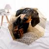 1pc Dachshund Paws Umbrella with Plastic Handle,Suitable for All Seasons Home Travel Outdoor UmbrellaDD1755