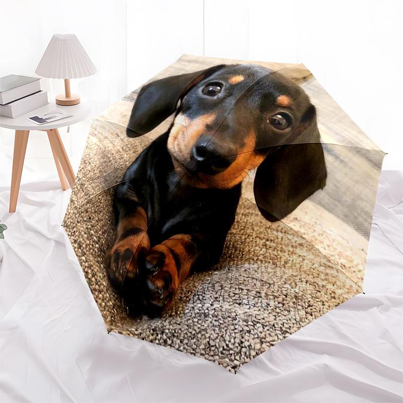 1pc Dachshund Paws Umbrella with Plastic Handle,Suitable for All Seasons Home Travel Outdoor UmbrellaDD1755