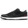 Sb Dunk Low Wasted Youth Skateboard Shoes DD8386-001