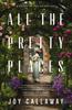 The All the Pretty Places : A Novel of the Gilded Age Book