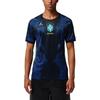 Jordan Бразилия 2026 Стадион Выездная Мужская Jordan Dri-FIT Футбольная Реплика Джерси