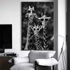 Black and White Canvas Posters and Prints, Animals, Giraffe Family with Sunglasses, Wall Art Picture, Painting
