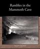 Книга Rambles In the Mammoth Cave
