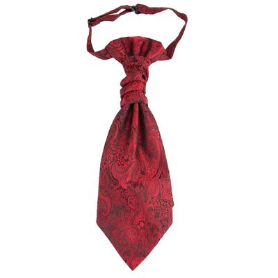 [Белый Клык] Элегантный галстук с узором пейсли, Мода в стиле business casual, Стильный мужской NC069 (Вино)