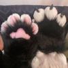 Cartoon Cosplay Costume Gloves Furry Cat Claw Mittens Cute Plush Cat Paw Gloves  Party