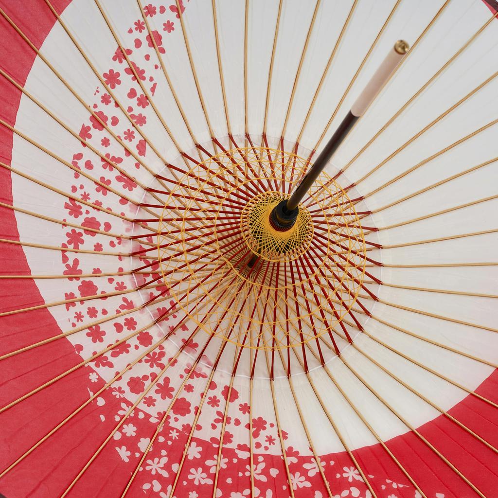 Зонт Yamamoto Bamboo Crafts Красный x (ЯМАМОТОТАКИЗАИКУЯ) Двухступенчатый змеиный глаз [Цуки-ну Сакура-рю]