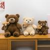 Плюшевая игрушка Медвежонок Для подарка на День святого Валентина Девочке Мальчику Детям Мягкий Короткий Плюш