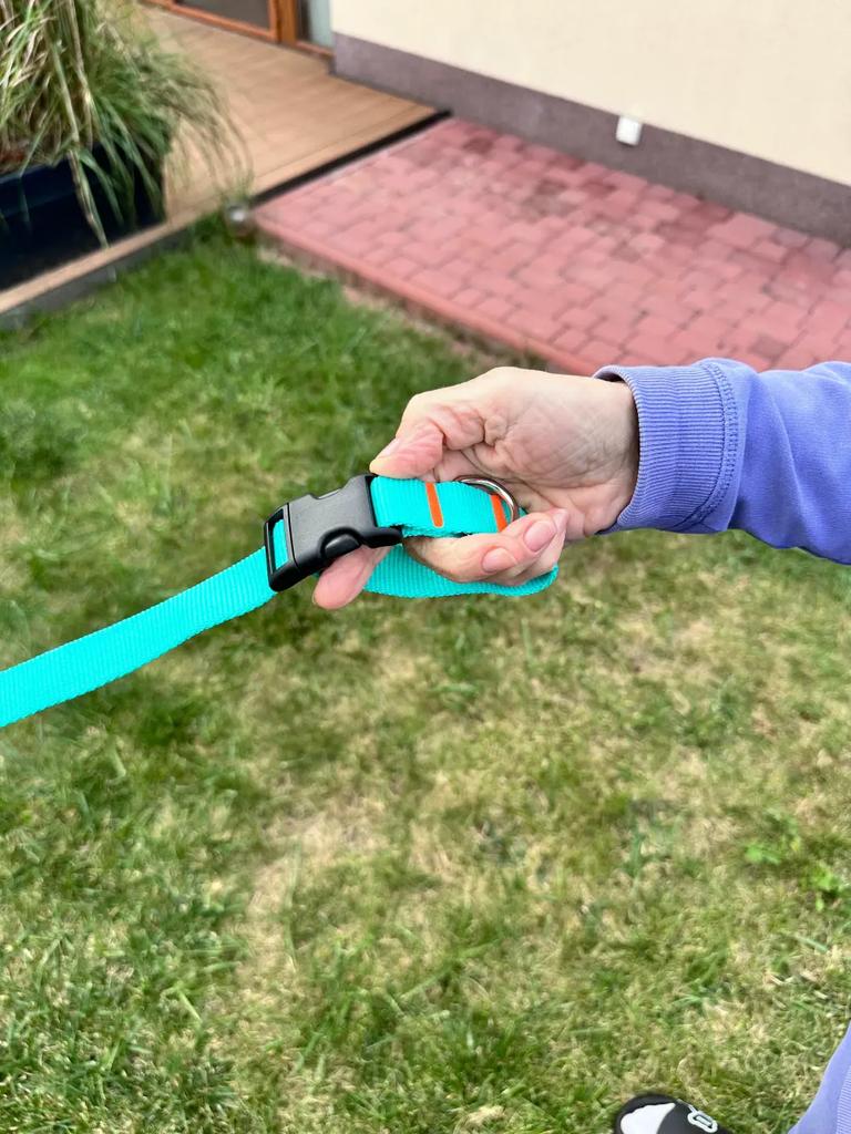 Dog Leash with Shock Absorber 280cm MINT Adjustable Sports
