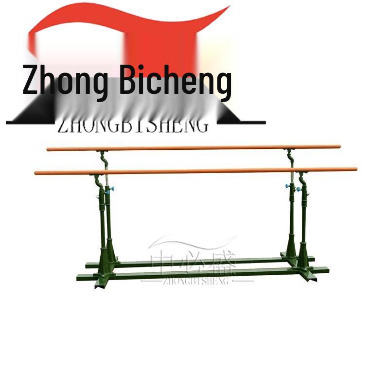 Zhongbisheng Outdoor Adjustable Calisthenics Station