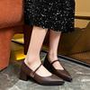 Модные женские туфли в стиле ретро с острым носком 2024 года, универсальные повседневные туфли с толстым каблуком и металлической пряжкой на низком каблуке