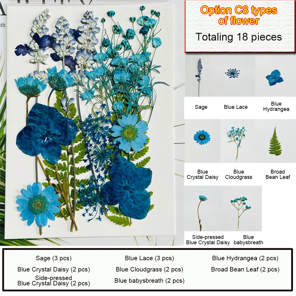 Dried Pressed Flowers For Resin Crafts, Flower Natural Dried Fillers, Assorted Real Natural Bulk Dry Floral Leaves For Scrapbook