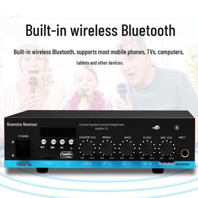 Bluetooth PA-система усилитель Newmine R3 штекер CN (адаптер в комплекте)