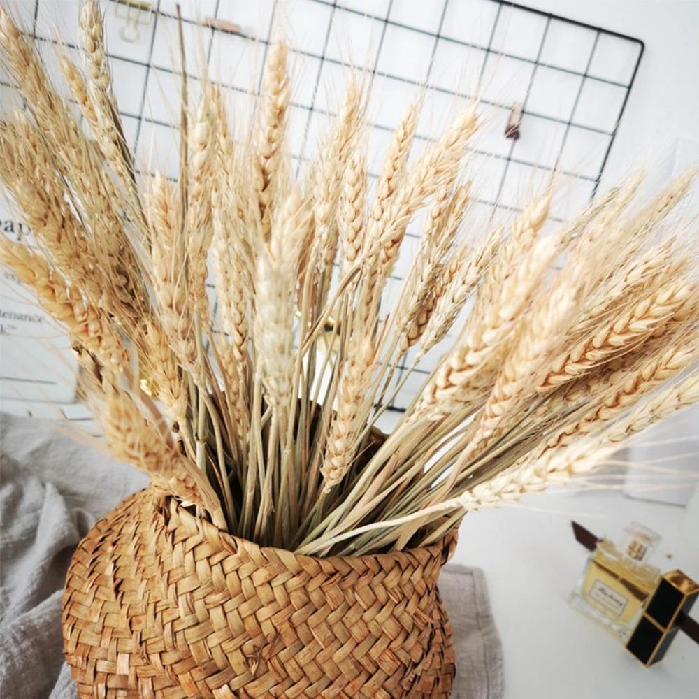 50pcs Rustic Dried Wheat Stalks Natural Dried Flowers Dry Wheat Spikes Holiday Festival Decoration